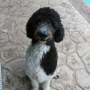 Meet your Posher, Eleanor